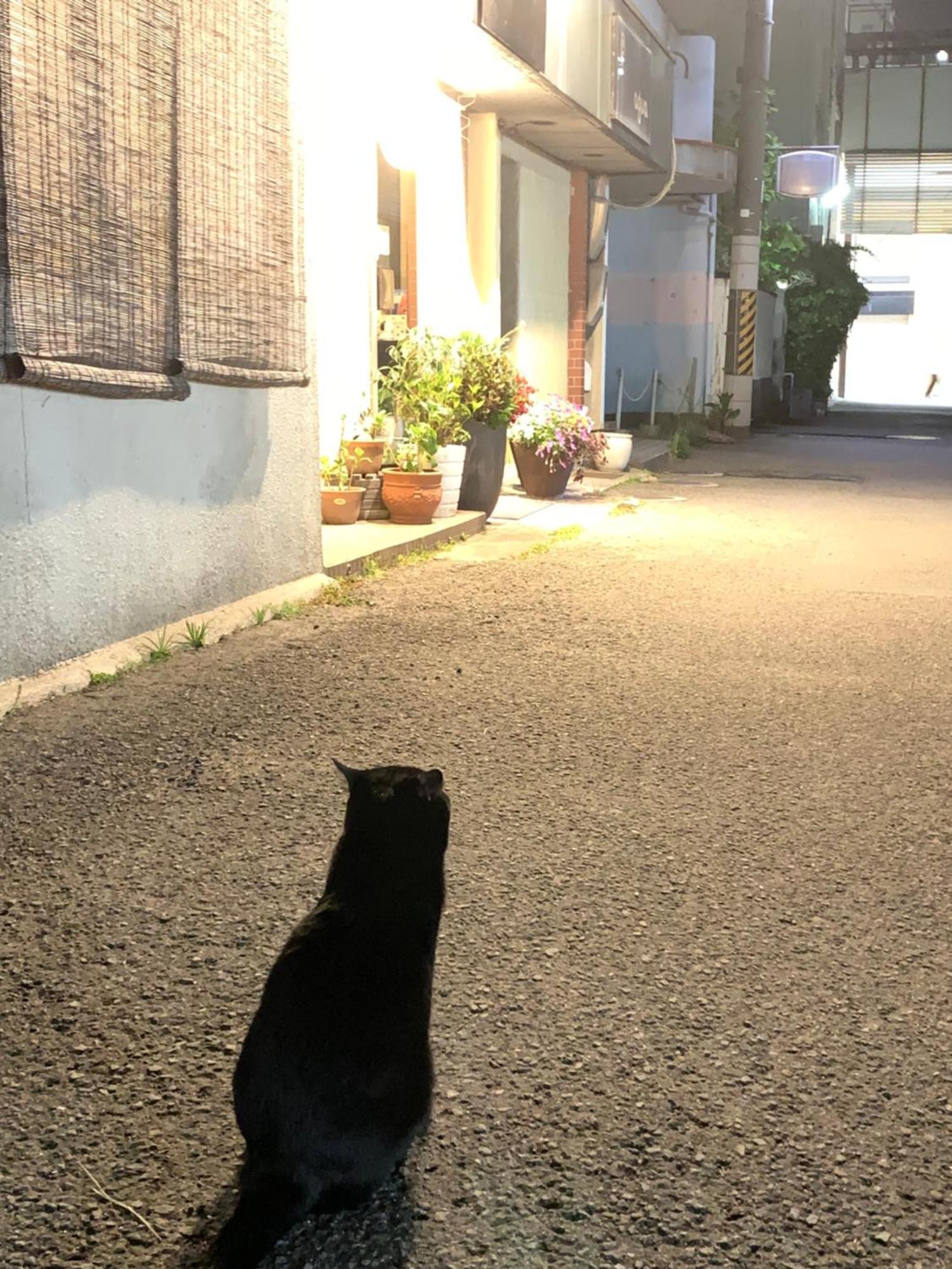 Tsukiji Hostel Wakayama 1 Bagian luar foto
